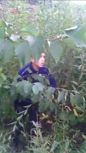 1 нче апрель - көлке көне! 🤣 Әлеге видеоларны караганыгыз бармы? 🤭 смотреть онлайн