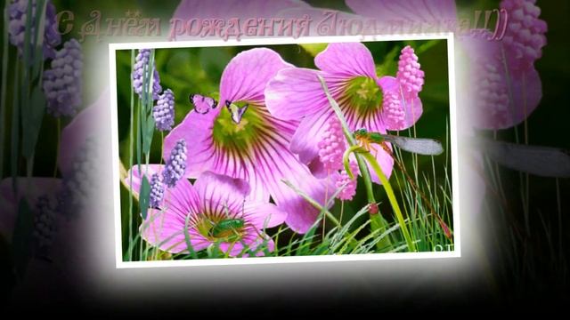 С Днём рождения Людмилка! смотреть онлайн