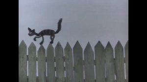 Сергей_Прокофьев__Петя_и_волк__Краткие_темы_из_симфонической_сказки (1)