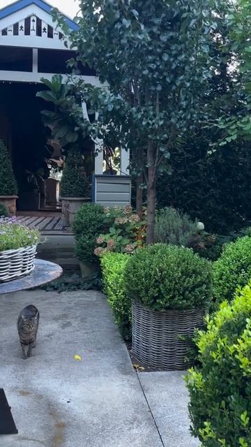 Помощь на дачном участке смотреть онлайн