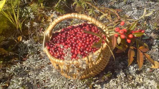 Ты прощаясь просил смотреть онлайн