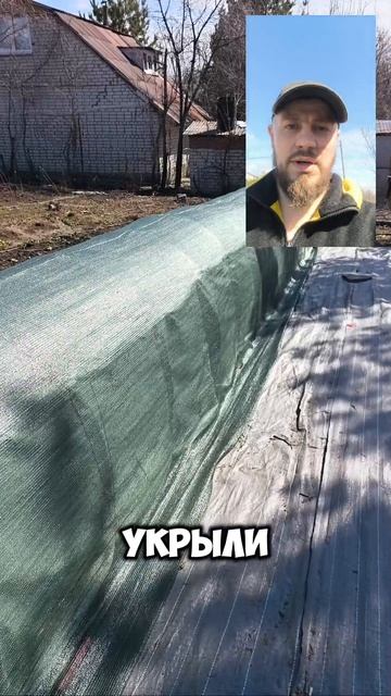 Притенение теплицы с черенками хвойных🌲 смотреть онлайн