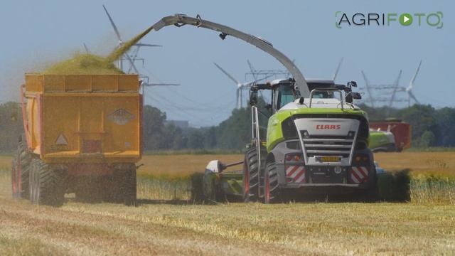 Double Trouble | Wholecrop barley harvest 2023 | Claas Jaguar 860 & 960 смотреть онлайн