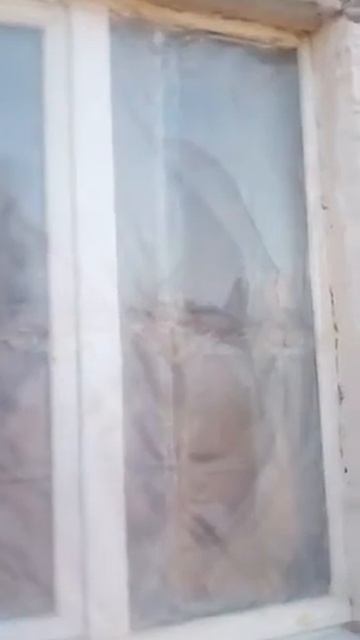 Разбили окна лешы Косте дома смотреть онлайн