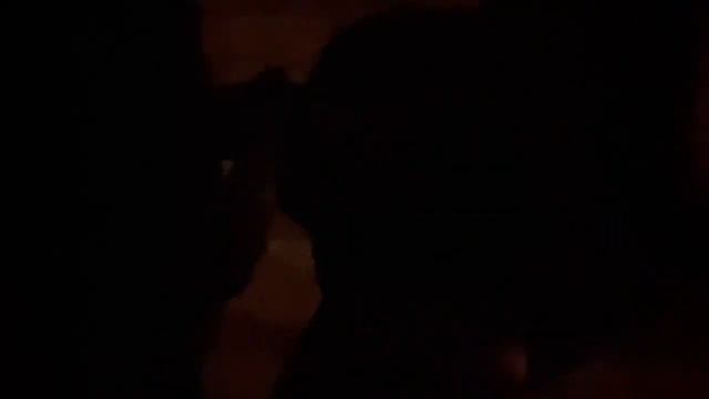 Квест Не дыши