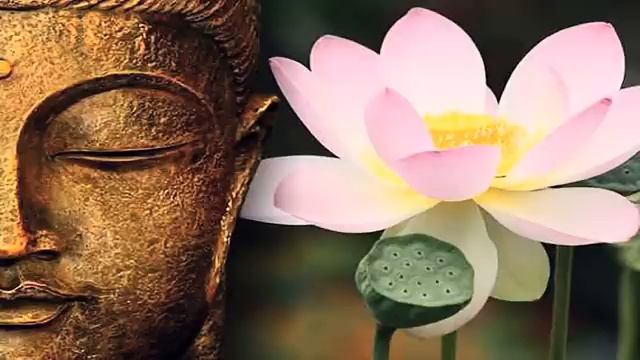 Мощная Мантра Ом Мани Падме Хум- ощущение и защита от негативп смотреть онлайн