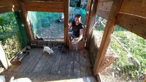 Как приняли крольчата братьев своих меньших?