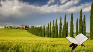 071. Сура Нур
Прекрасное чтение Корана 
Чтец: Саадом Аль Гамиди