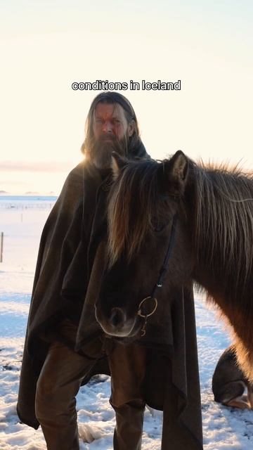 Horseback riding in Iceland in winter is truly a magical experience ❤️ #Iceland #shorts #horse смотреть онлайн