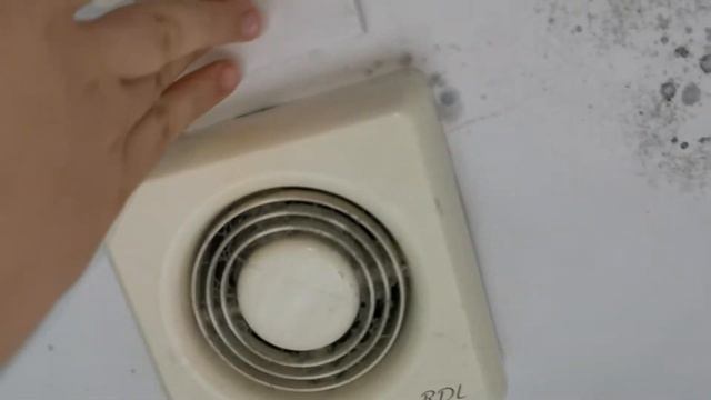 RDL Extractor fan смотреть онлайн