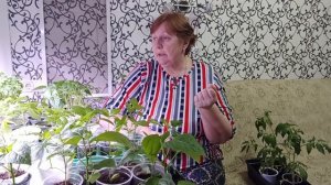 Новости дня. Про жизнь,про растишки ,про канал.