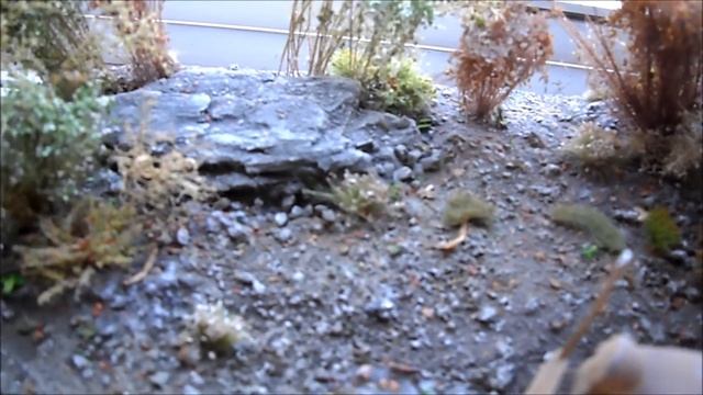 Steyr 1500A Kommandeurwagen Wehrmacht