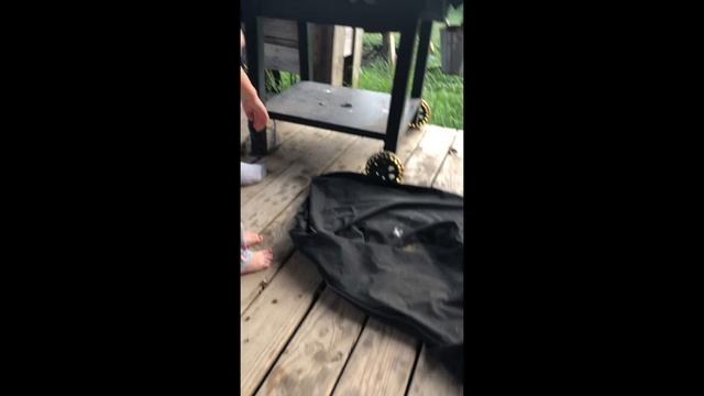 Russell's Salsa смотреть онлайн