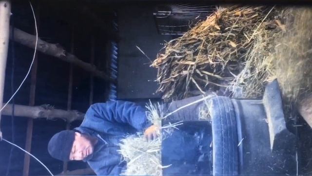 ДКУ/Чоп кырккыч/Пая кырккыч/Малы бар адамдарга керек экен/Жугору-Шак баарын тартат/Заказга жасайт смотреть онлайн