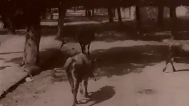 Banja Luka-nekad смотреть онлайн