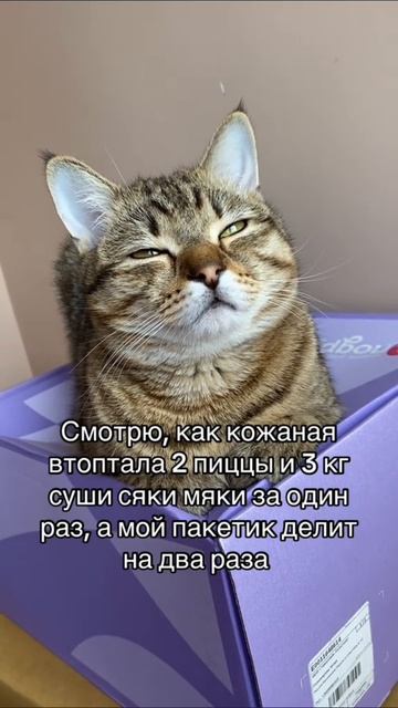 scene_output.mp4 смотреть онлайн