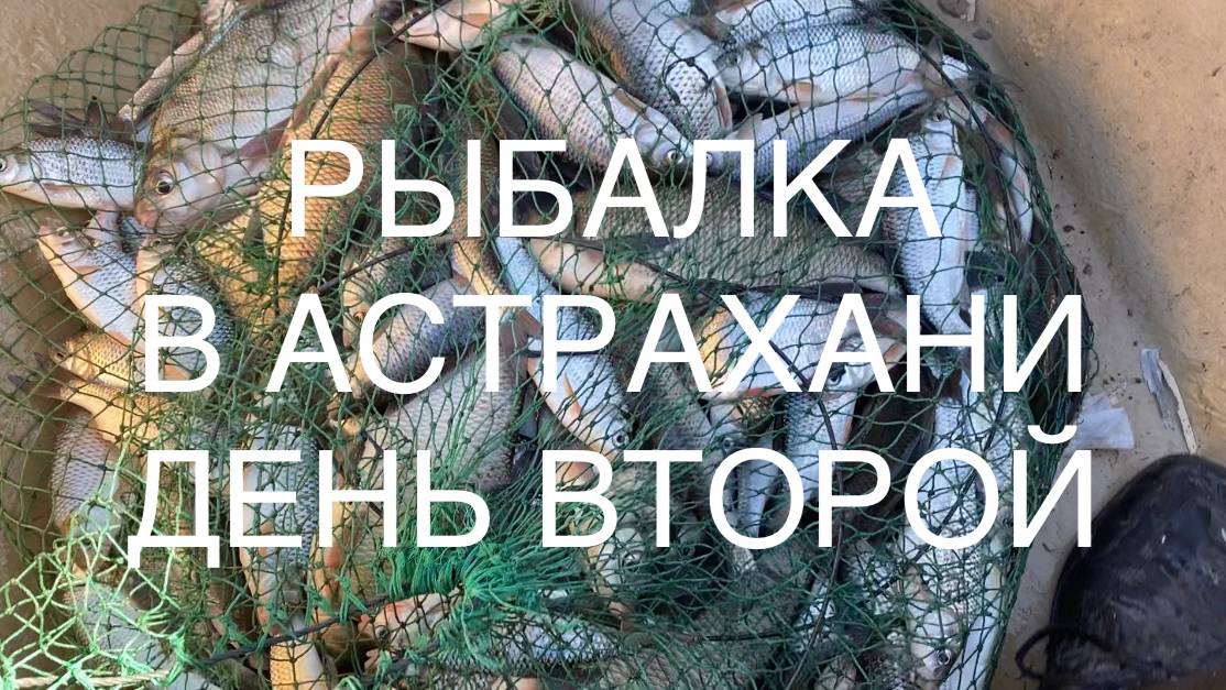 РЫБАЛКА В АСТРАХАНИ! ЛУЧШАЯ РЫБАЛКА, ЛОВИМ ВОБЛУ В АПРЕЛЕ. ДЕНЬ ВТОРОЙ #охапкадров #рыбалка