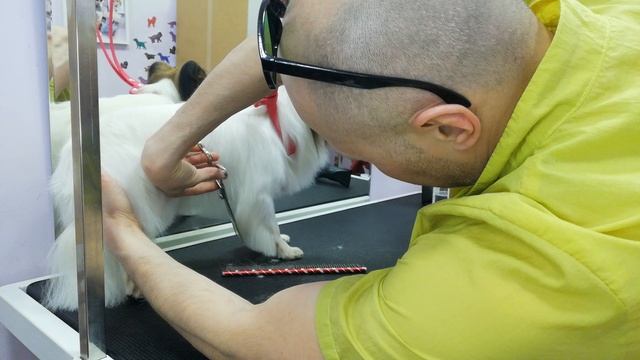 Папилон раф, он же график, бог рафаэль смотреть онлайн