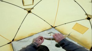 Классная рыбалка по сигу. 02.04.2024