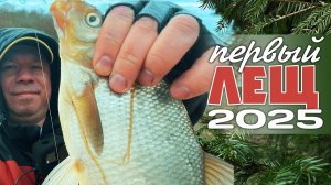 😮Невероятно! Лещ на Дропшот – Такого Я Не Ожидал! Бель ДУРЕЕТ КИДАЕТСЯ на ВСЁ! #мормышинг #дропшот