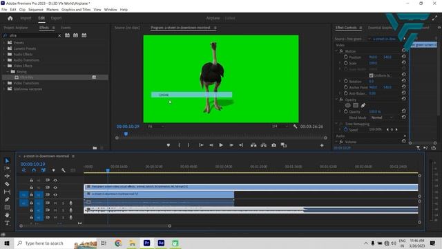 Green Screen Animal Overlay Bundle Pack | No Copyright | Free Download | Premiere Pro & After Effec смотреть онлайн