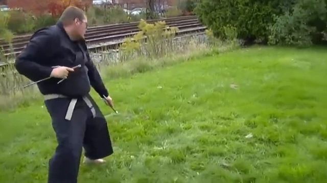 sai kata "kyan no sai" смотреть онлайн