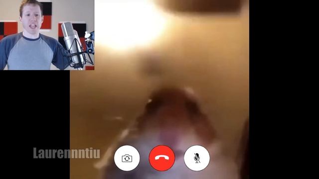 Hamster Spy would like to FaceTime with you смотреть онлайн