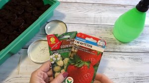 Посев мелкоплодной и крупноплодной земляники🍓 Лучший способ! Первые всходы цветов. Январь 2025г