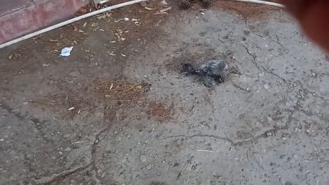 у нас мангал во дворе у вас? смотреть онлайн