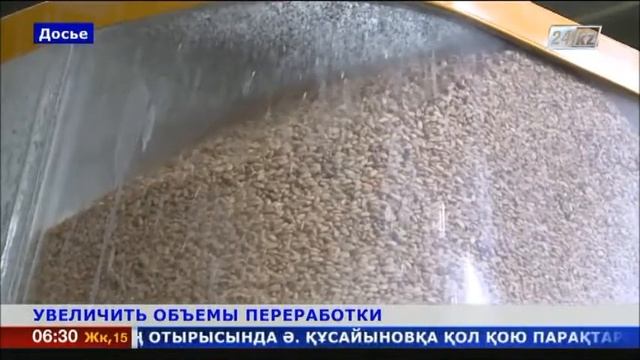 Товаропроизводителям Казахстана нужно увеличить объемы переработки смотреть онлайн
