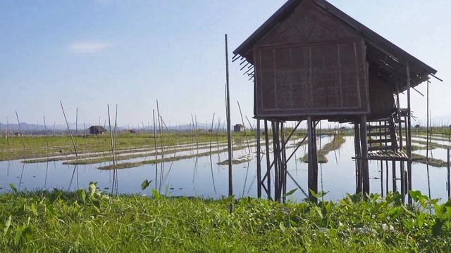 Почему Мьянму Считают Самой Загадочной Страной Азии? смотреть онлайн