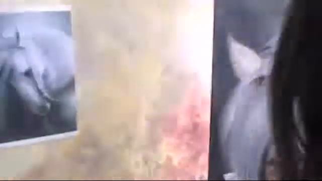 Белая лошадь смотреть онлайн