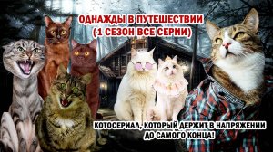 МИСТИЧЕСКИЙ КОТОСЕРИАЛ С ЗАХВАТЫВАЮЩИМ СЮЖЕТОМ😱🔥ОДНАЖДЫ В ПУТЕШЕСТВИИ (1 СЕЗОН ВСЕ СЕРИИ)