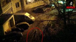 Истории на ночь station922 mkv Палочник, Буратино