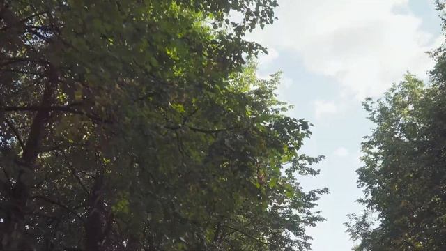 свадебный клип Никита и Елизавета смотреть онлайн