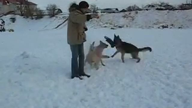 Изображение 031.flv смотреть онлайн