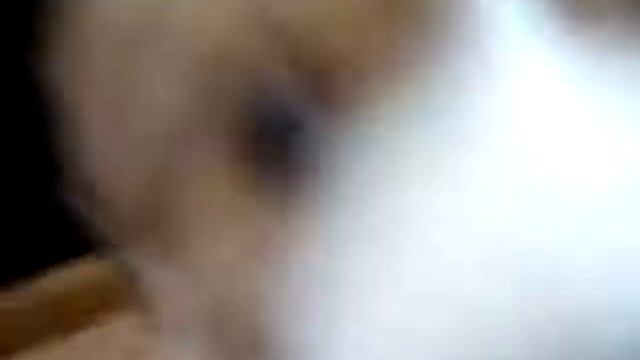 Солнечный страж Юзбаш 1,5мес видео смотреть онлайн