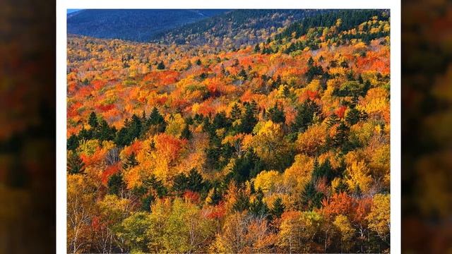 Вадим Егоров Осенняя Элегия смотреть онлайн