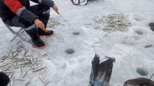 Рыбалка на Сахалине / ловля корюшки / озеро Выселковое / рыбалка в декабре