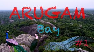 Аругам Бей 🏖️ Шри-Ланка 🇱🇰 Начало приключений в райском месте. Крокодилы 🐊 птицы 🦅 слоны 🐘