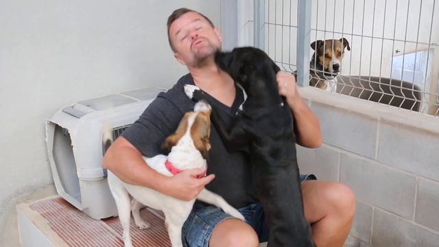 Andy und Tara MVI 8788 смотреть онлайн