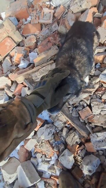 Глаза скажут многое... смотреть онлайн