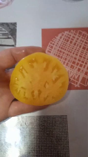 Сорт томата Белая королева. смотреть онлайн