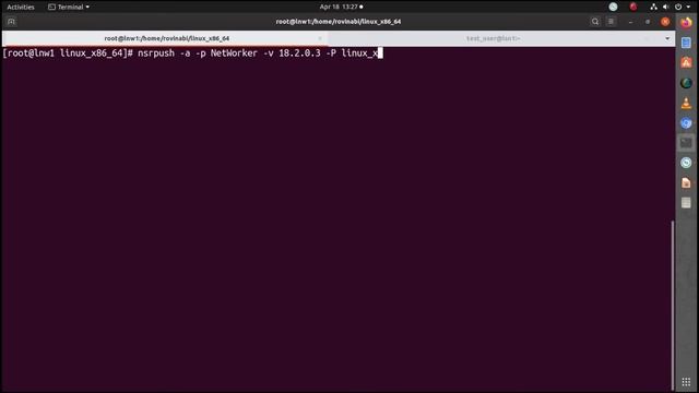 Using nsrpush in NetWorker смотреть онлайн