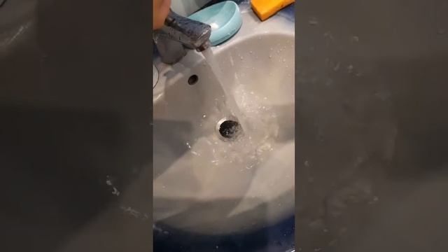 Купили лежанку для собаки смотреть онлайн