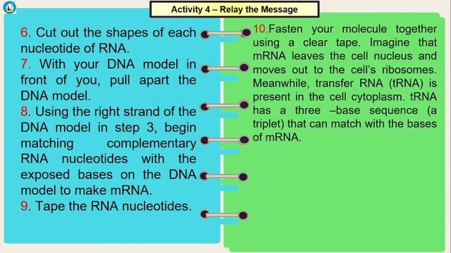 Science 10 Quarter 3 Module 2 Activity 4 - Relay the message ( Transcription and Translation) смотреть онлайн