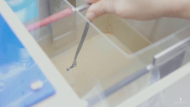 Anodizing Process Body Piercing Manufacturing – Salamander Jewelry