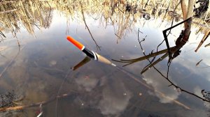 карась проснулся!И начал клевать!Первая рыбалка на поплавок весной