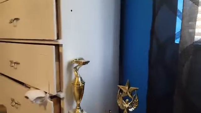 MY LIP PRODUCT COLLECTION!!! смотреть онлайн