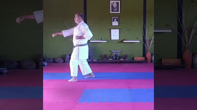 Sanchin Dachi Nihon Tsuki смотреть онлайн
